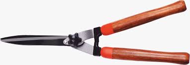 Hedge Shears